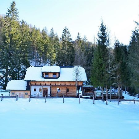 Ferienhaus Dirnbacher Huette Turnau Exterior photo
