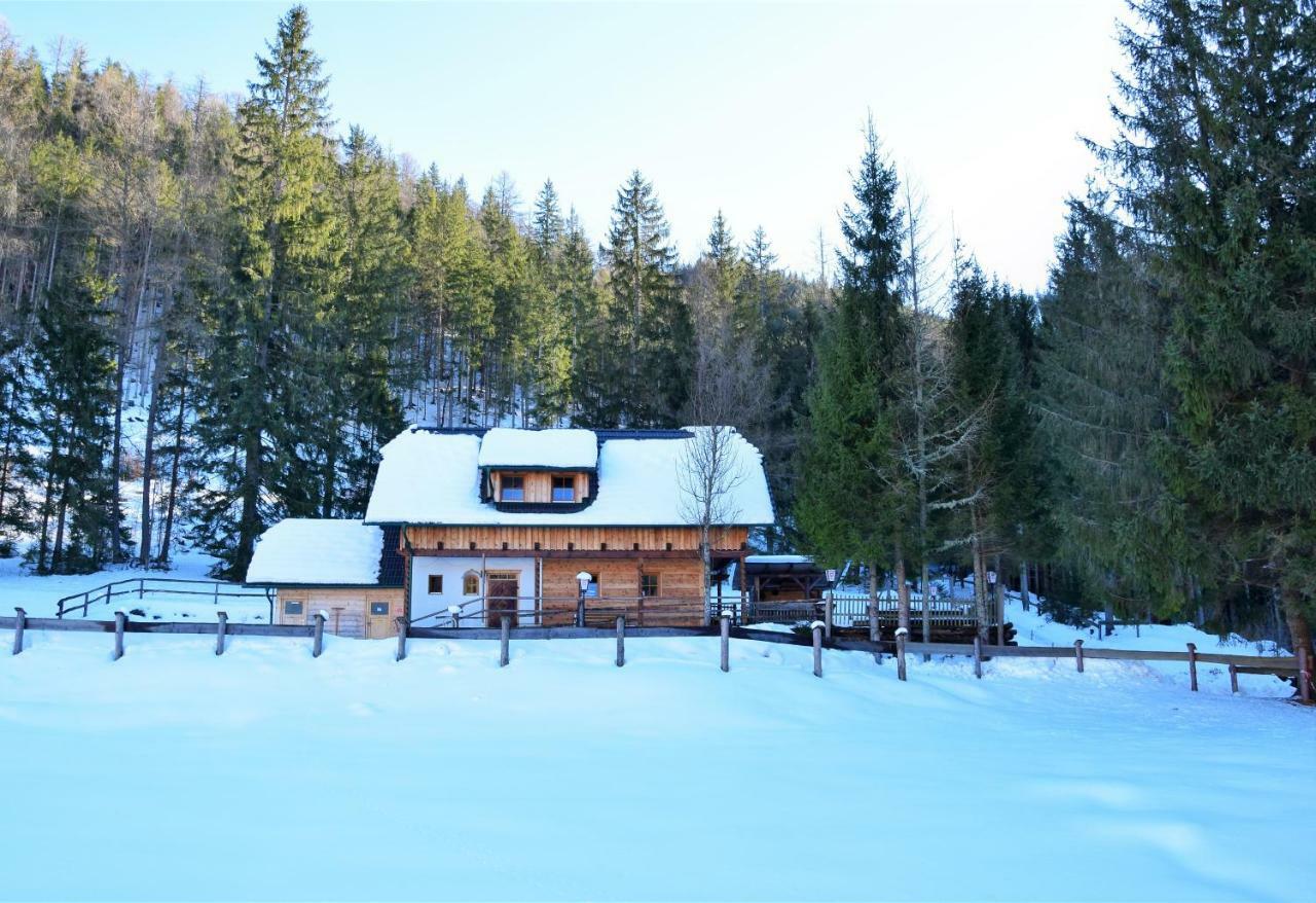 Ferienhaus Dirnbacher Huette Turnau Exterior photo